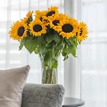 Your Holidays Wave A Apartment Misdroy