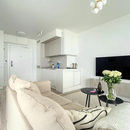 Your Holidays Waves A