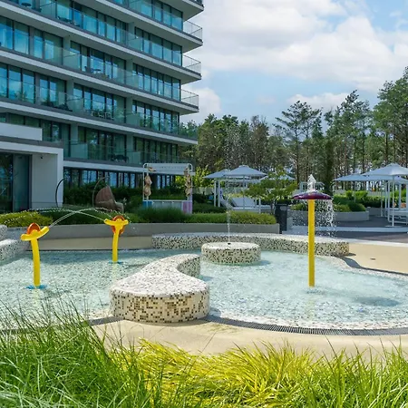 Your Holidays Waves A