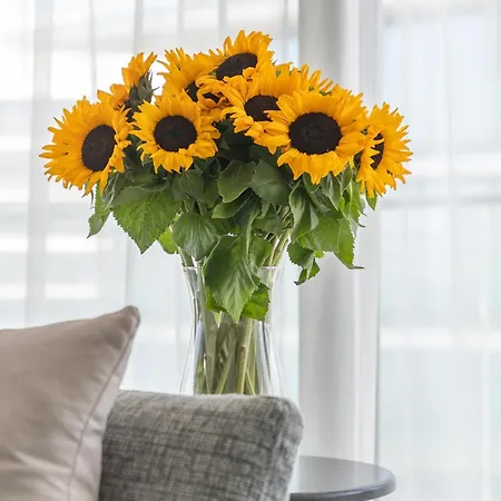 Your Holidays Waves A Apartament Międzyzdroje