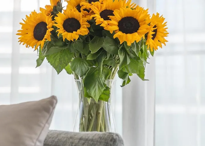 Your Holidays Wave A Apartament Międzyzdroje